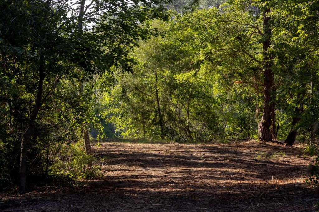 Four Ponds Retreat Photo