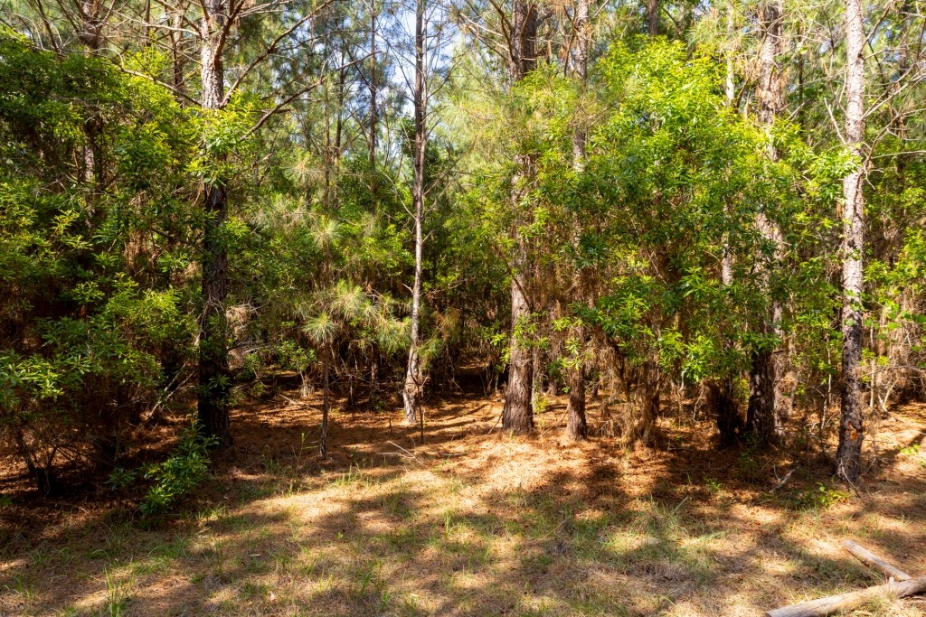Four Ponds Retreat Photo