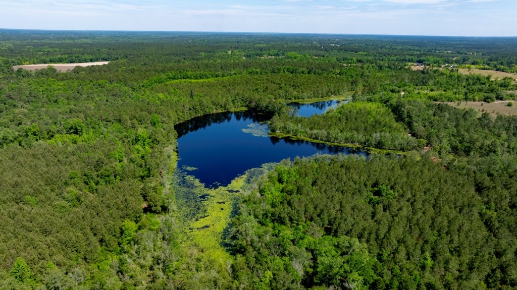 Four Ponds Retreat Photo