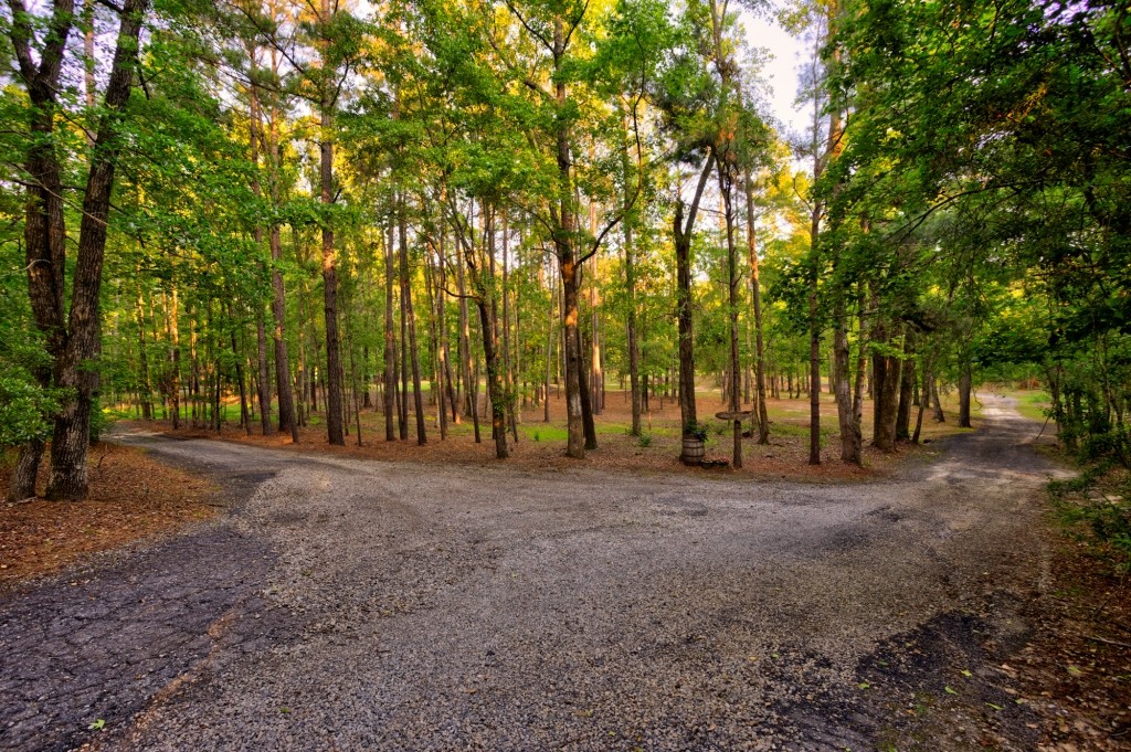 Wadley Coleman Homeplace Photo