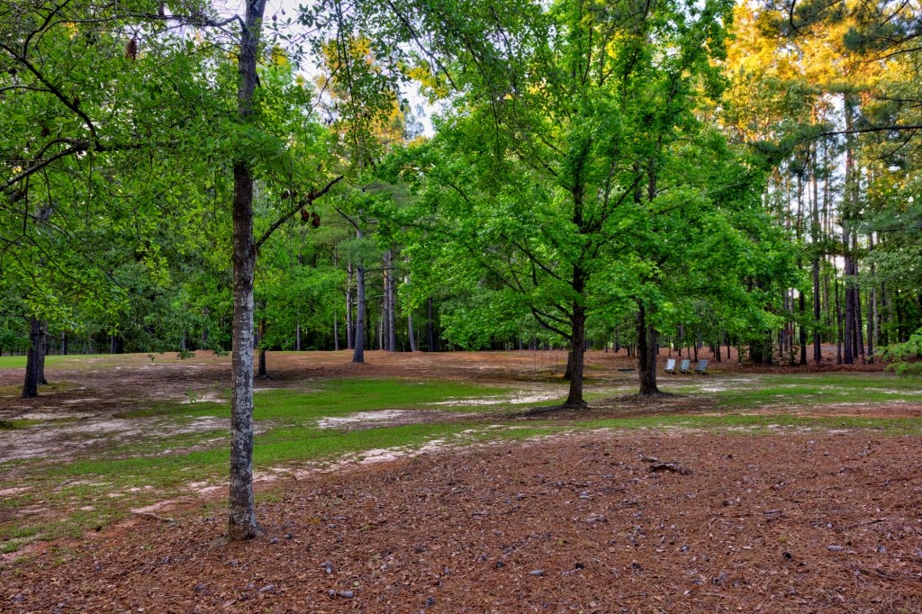 Wadley Coleman Homeplace Photo
