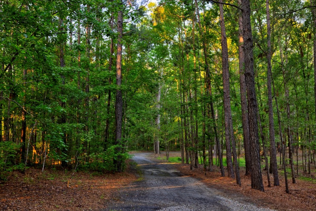 Wadley Coleman Homeplace Photo