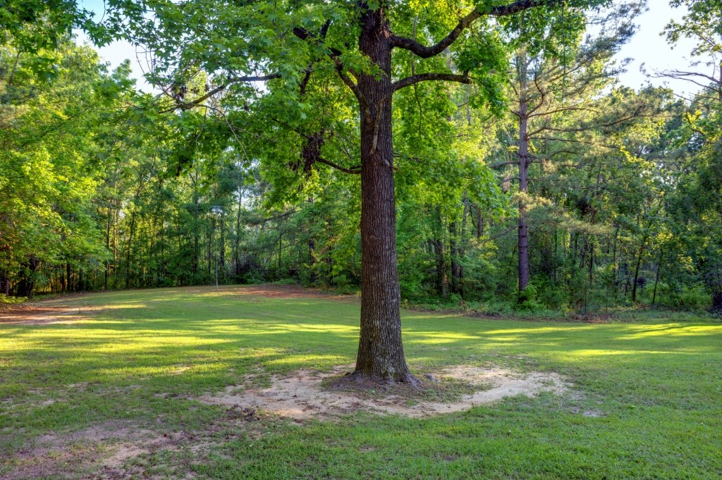 Wadley Coleman Homeplace Photo