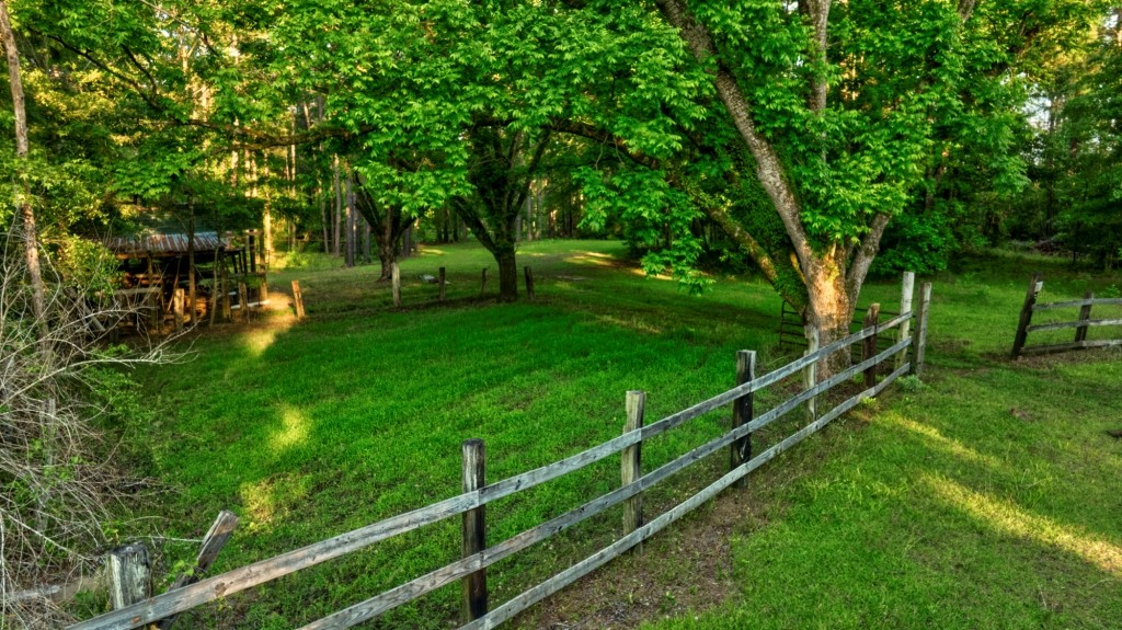 Wadley Coleman Homeplace Photo
