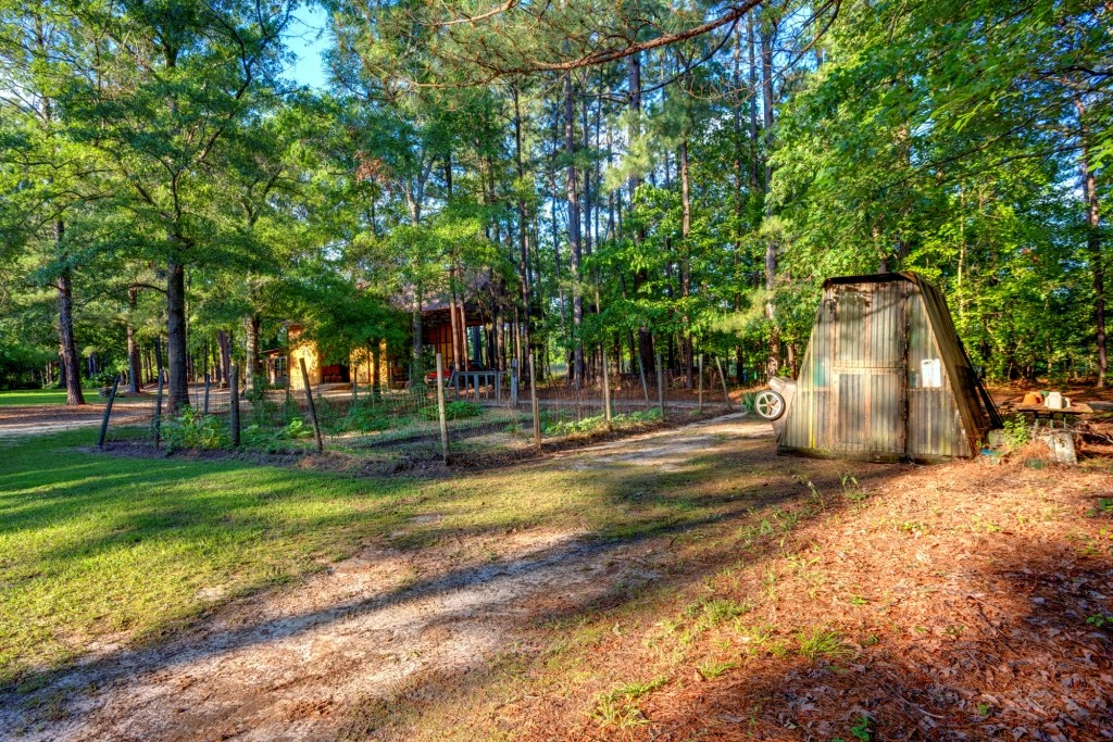 Wadley Coleman Homeplace Photo