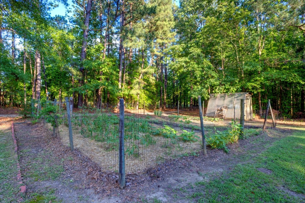 Wadley Coleman Homeplace Photo
