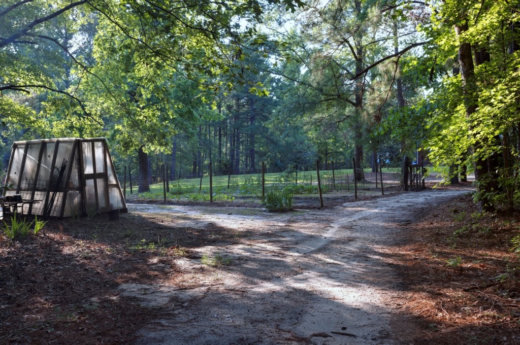 Wadley Coleman Homeplace Photo