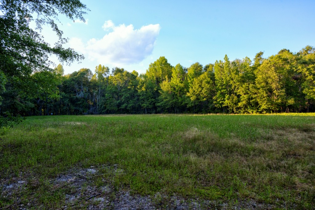 Wadley Coleman Homeplace Photo