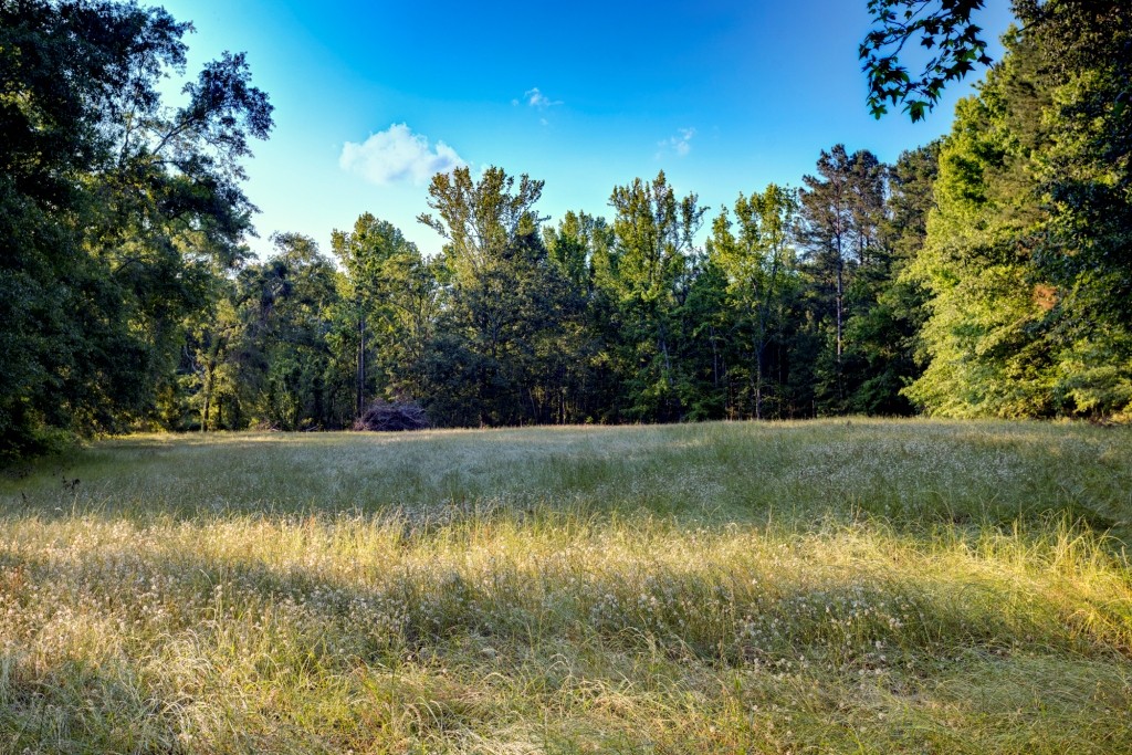 Wadley Coleman Homeplace Photo