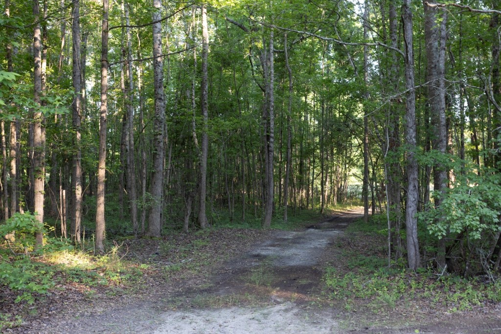 Wadley Coleman Homeplace Photo