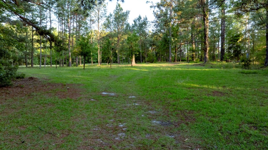 Wadley Coleman Homeplace Photo