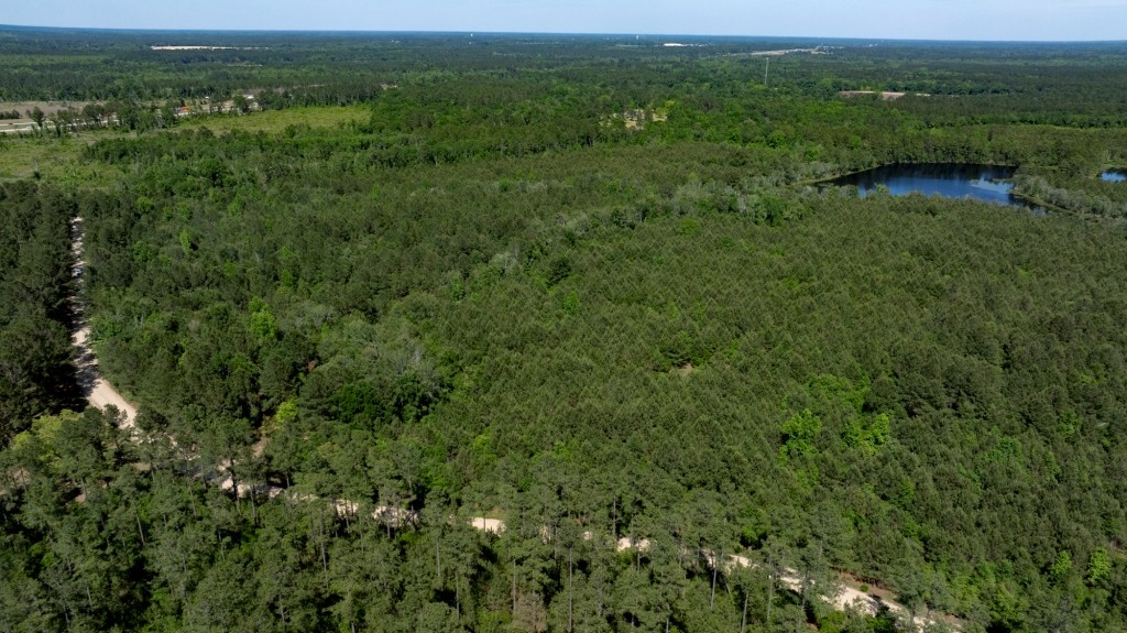 Four Ponds Retreat Photo