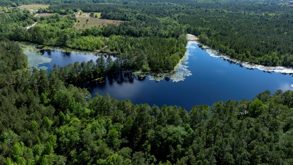 Four Ponds Retreat Photo