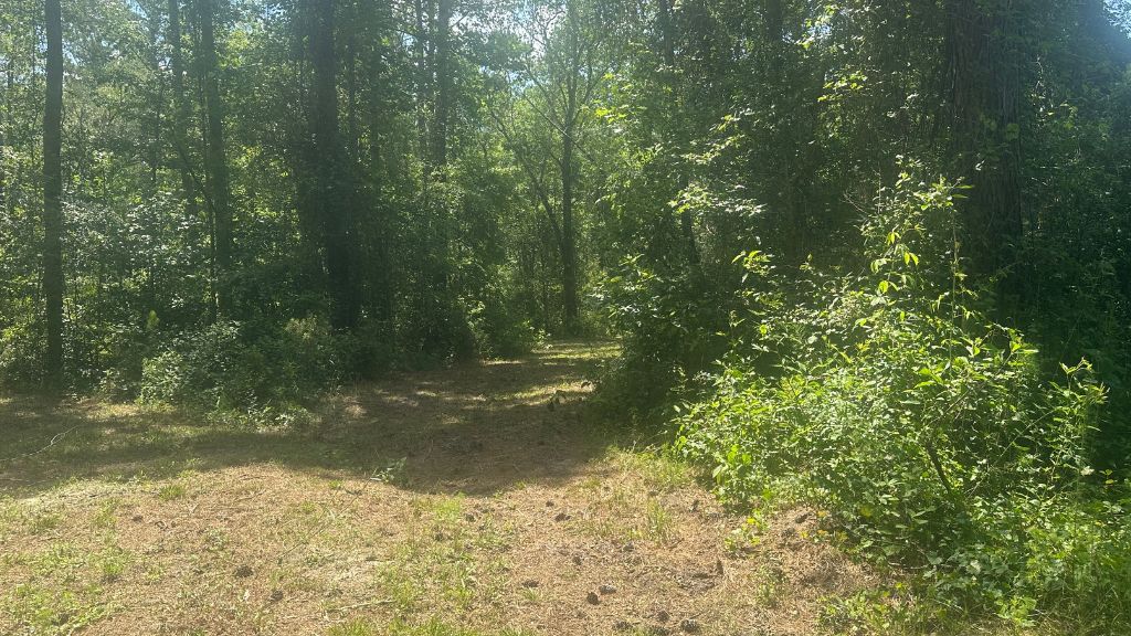 Cleary Road Photo