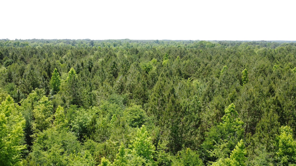 Anderson Parrish Retreat Photo