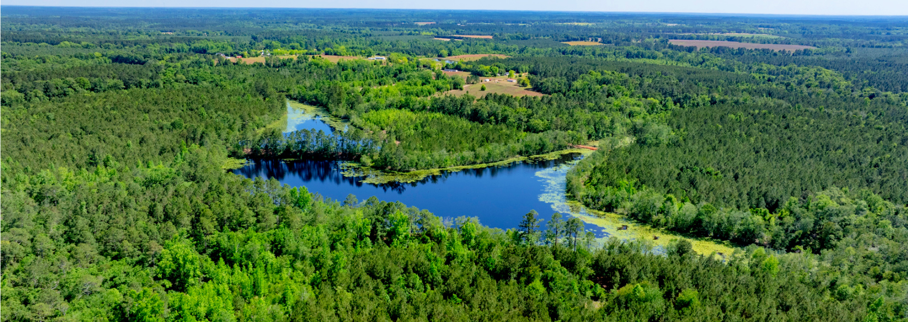 Four Ponds Retreat Main Photo
