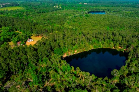 Four Ponds Retreat