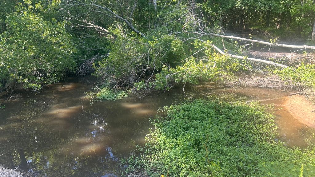 Horsepen Branch Photo