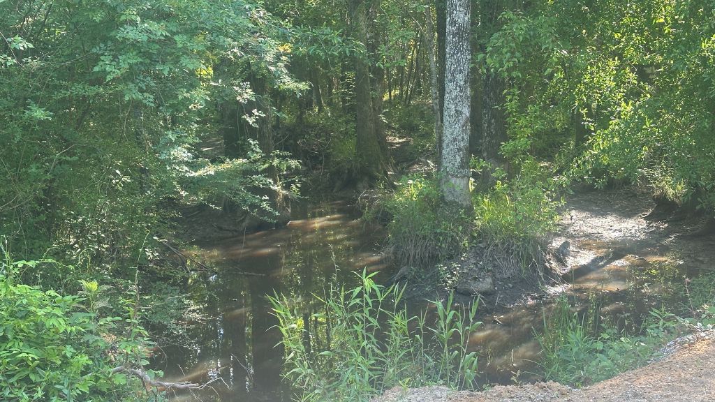 Horsepen Branch Photo