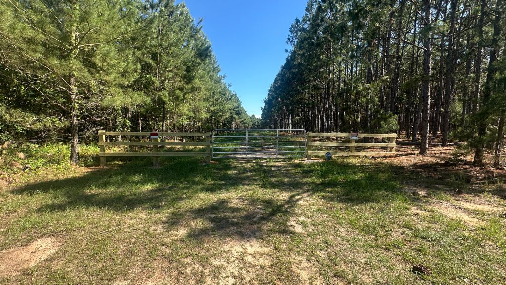 Long Leaf Farm Photo