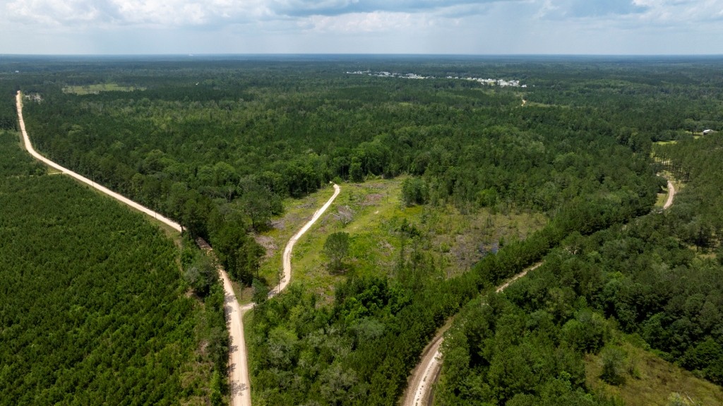 Habersham Pines Photo