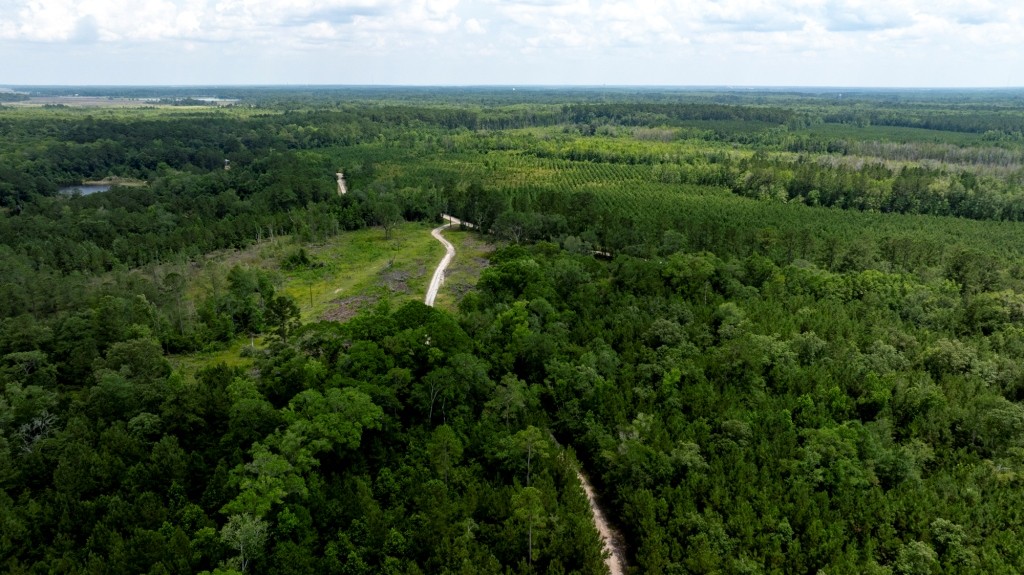 Habersham Pines Photo
