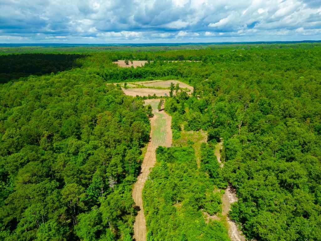 Hunt Walk Plantation Photo