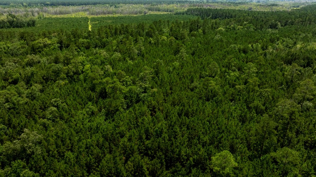 Habersham Pines Photo
