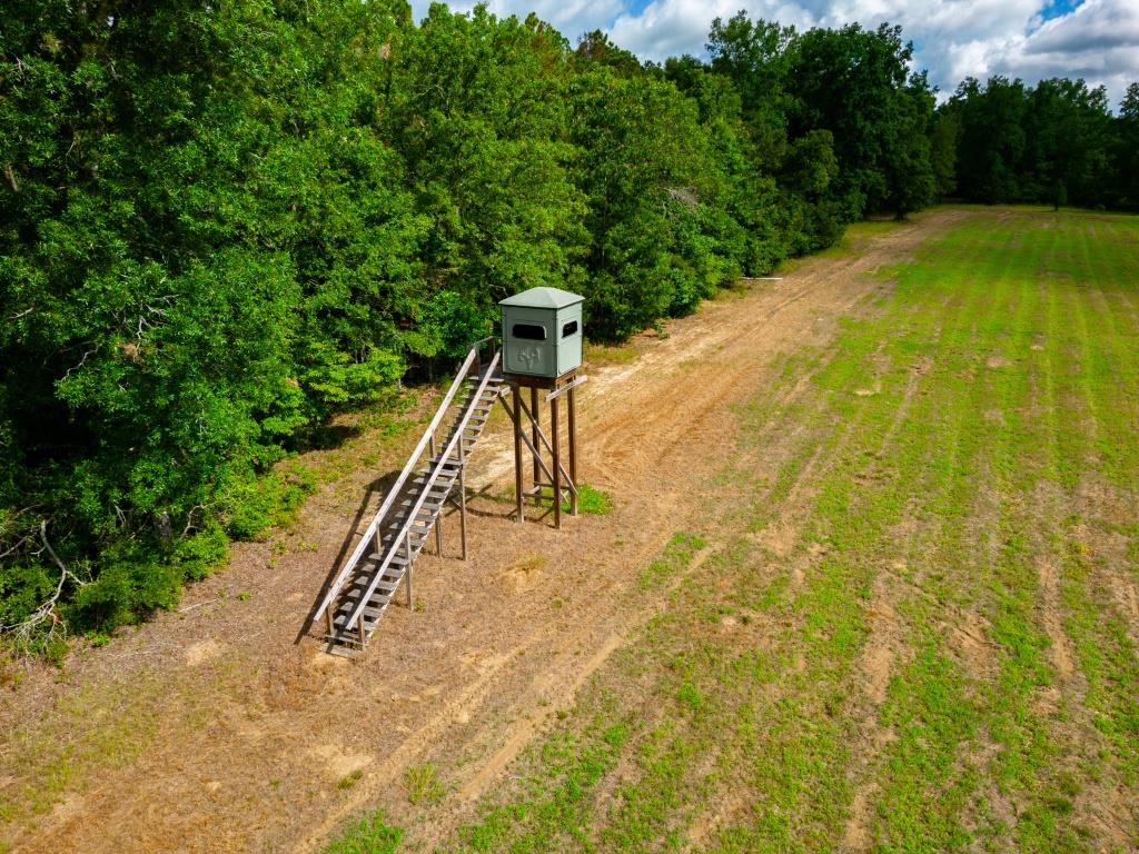 Hunt Walk Plantation Photo
