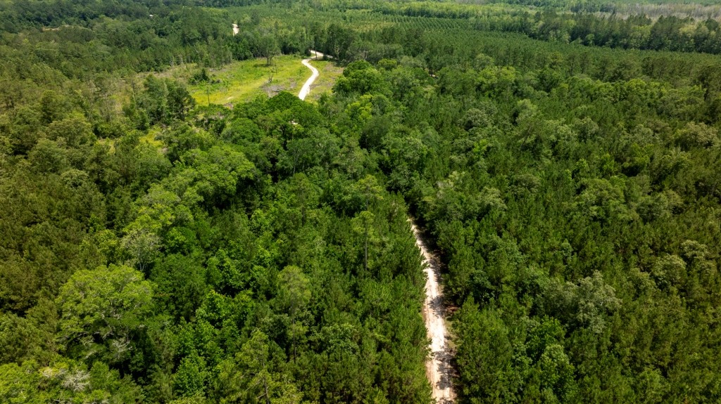 Habersham Pines Photo