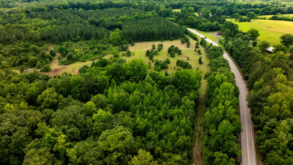 Ulcohatchee Creek Photo