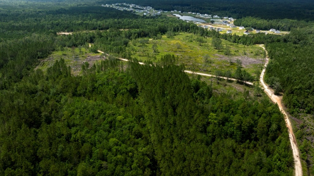 Habersham Pines Photo
