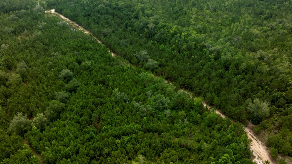 Habersham Pines Photo