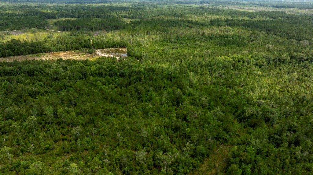 Habersham Pines Photo