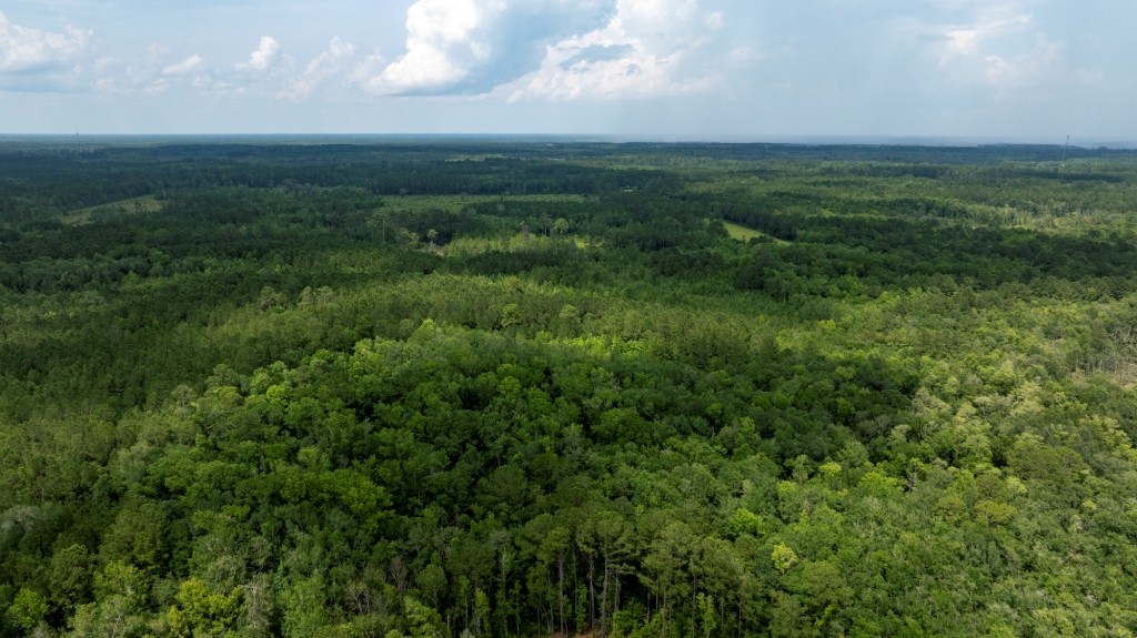 Habersham Pines Photo