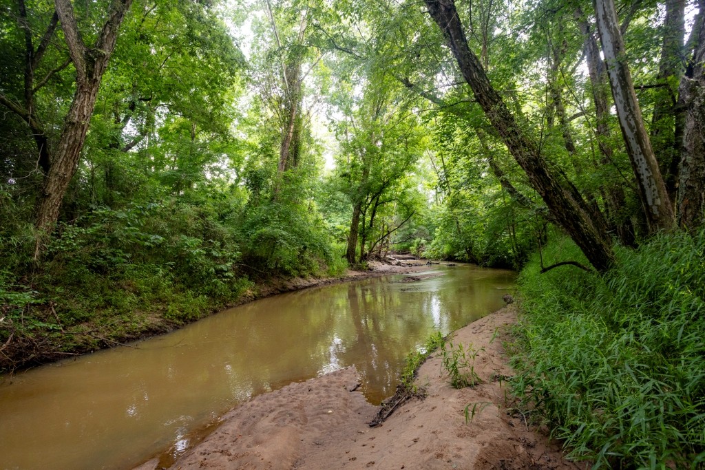 Ulcohatchee Creek Photo