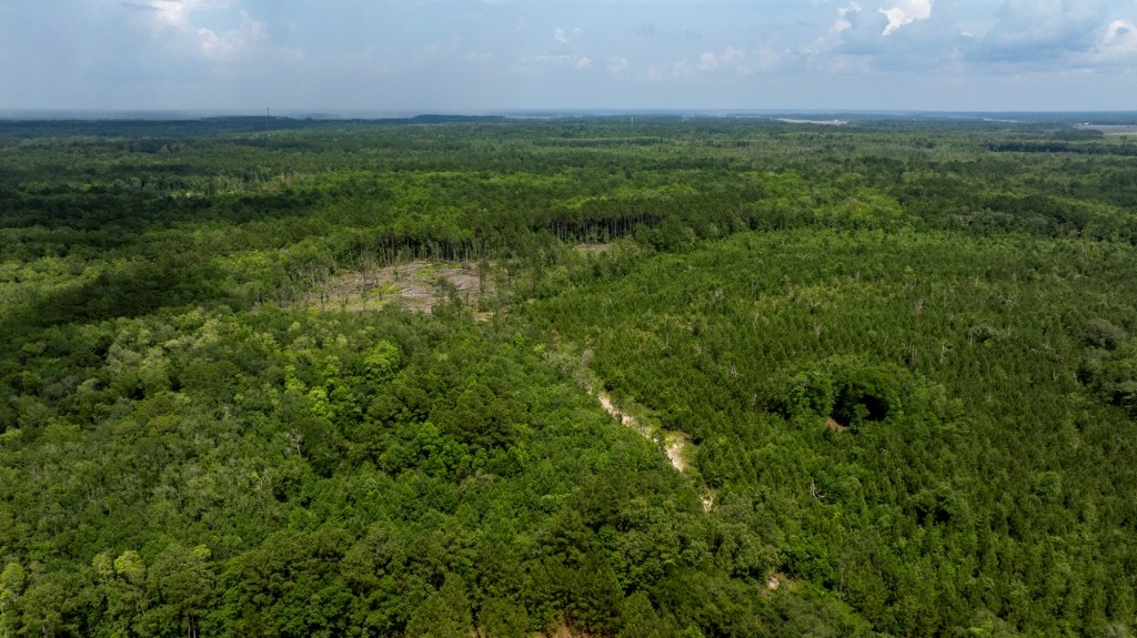 Habersham Pines Photo