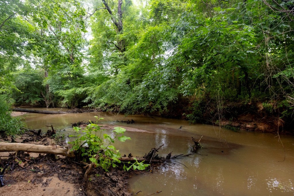 Ulcohatchee Creek Photo