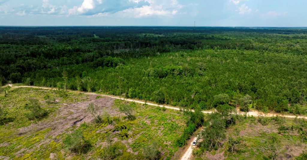 Habersham Pines Photo