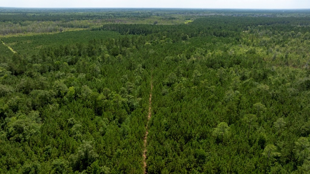 Habersham Pines Photo