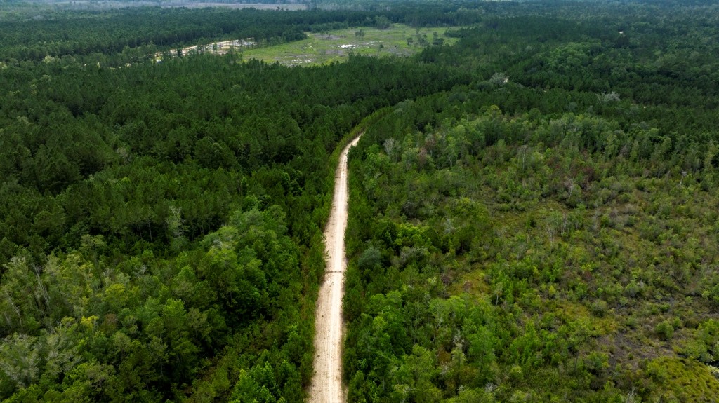 Habersham Pines Photo