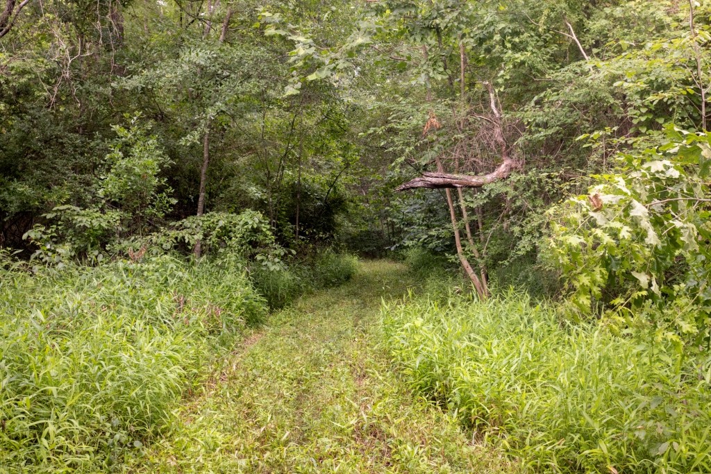 Ulcohatchee Creek Photo