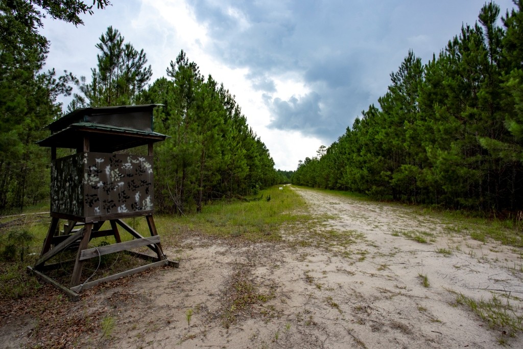 Habersham Pines Photo