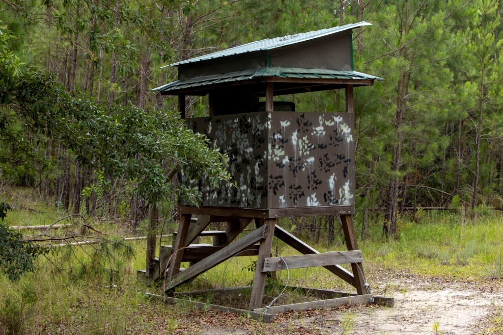 Habersham Pines Photo