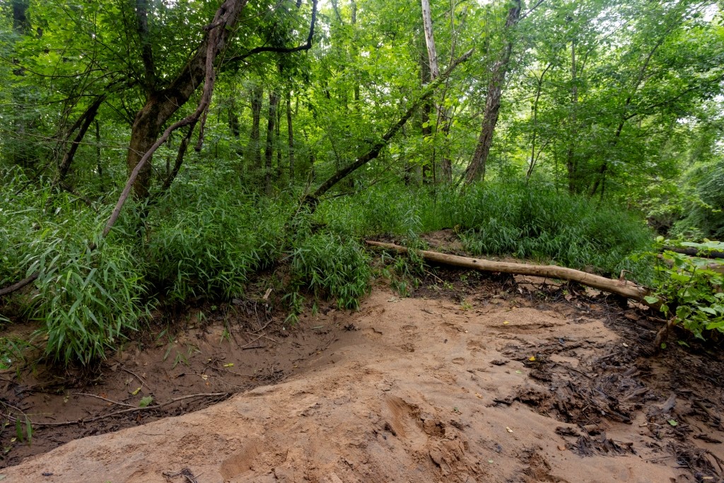 Ulcohatchee Creek Photo