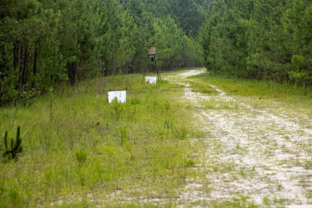 Habersham Pines Photo