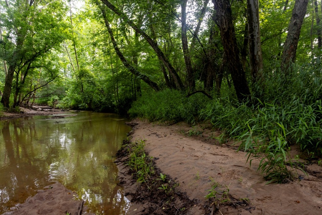 Ulcohatchee Creek Photo