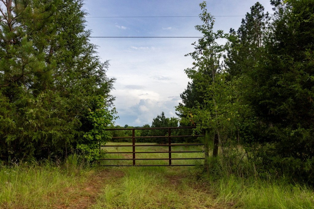 Ulcohatchee Creek Photo