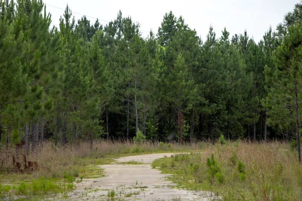 Habersham Pines Photo