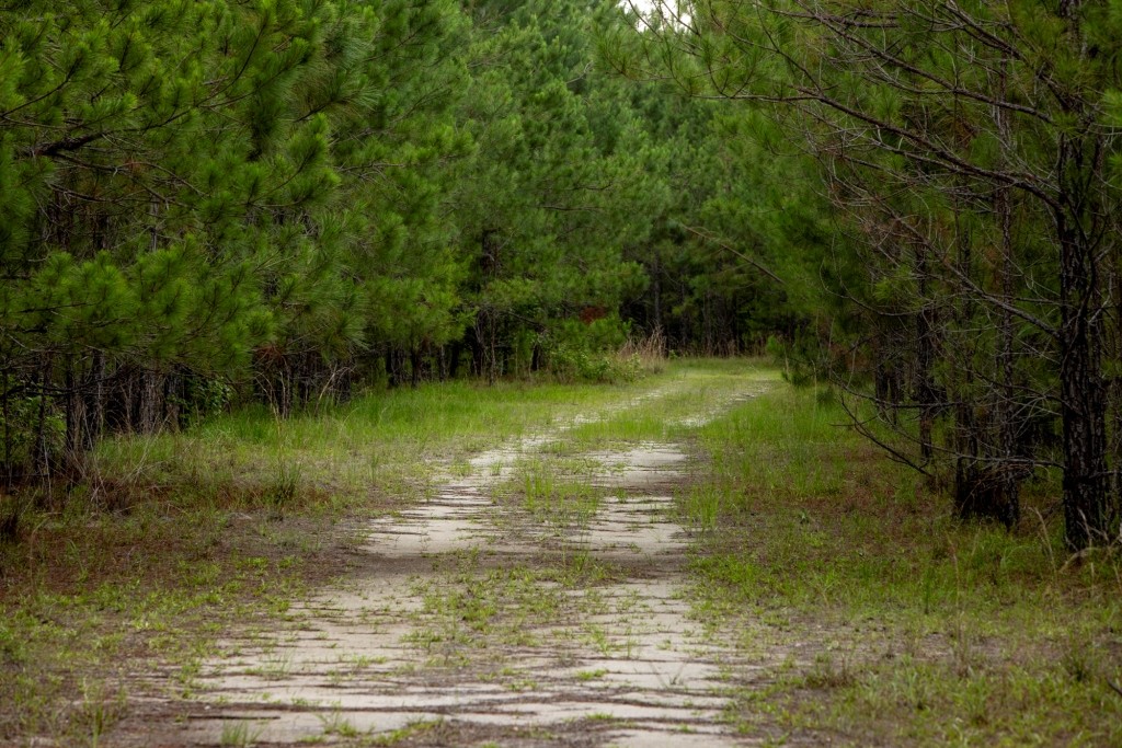 Habersham Pines Photo